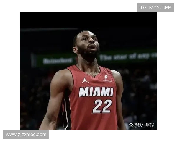 30天30队热：探讨希罗维金斯阿德巴约在球队中的角色与定位